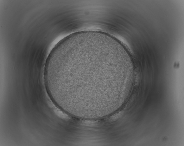 X0000091881086200710031737