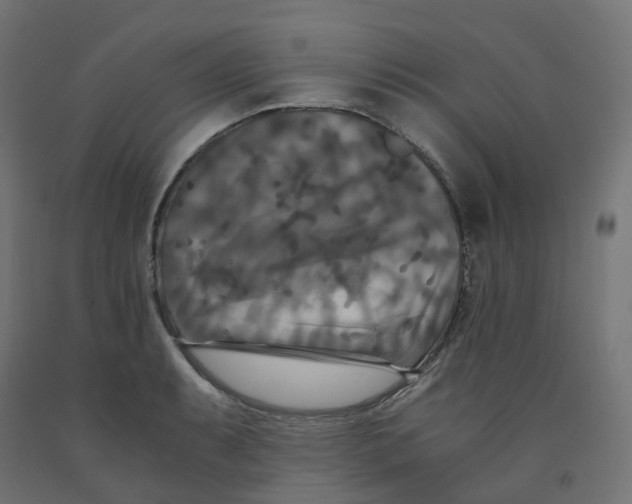 X0000091881087200710031737