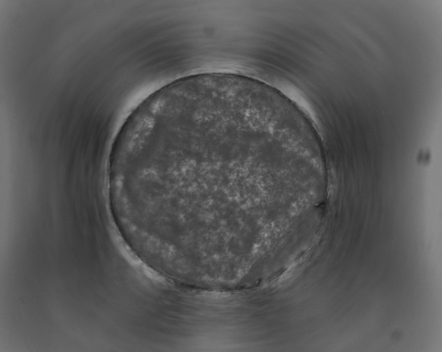 X0000091881088200710031737