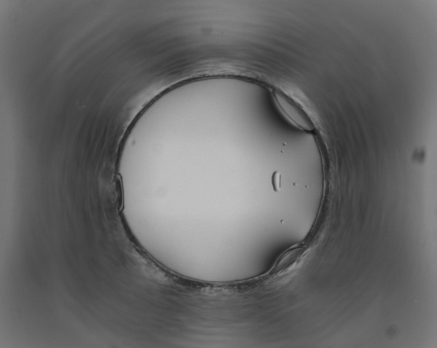 X0000091881089200710031737