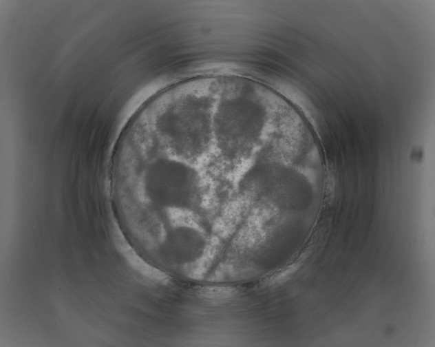 X0000091881090200710031736