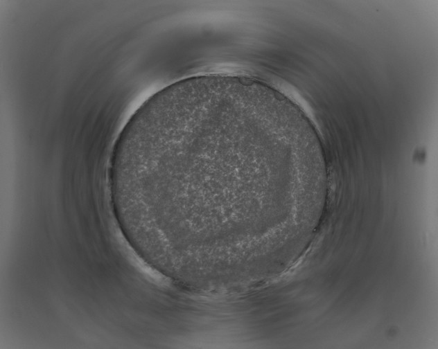 X0000091881091200710031736