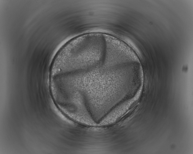 X0000091881092200710031736