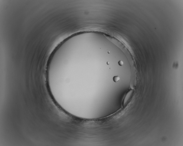 X0000091881093200710031736