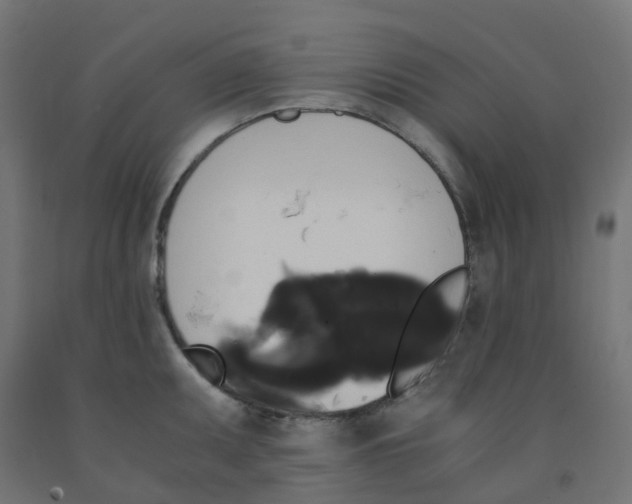 X0000091881095200710031736