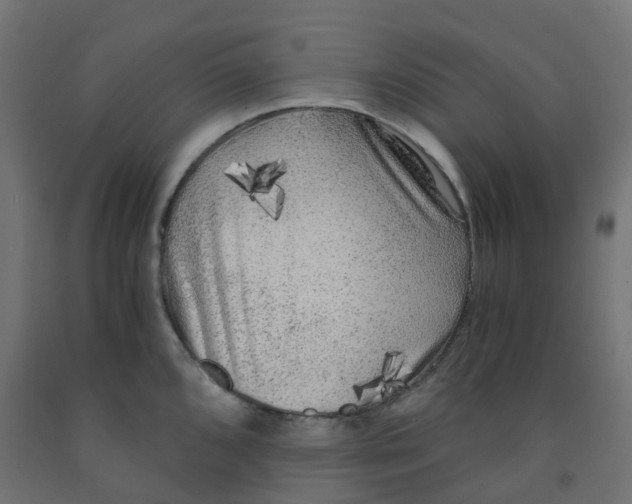 X0000091881096200710031736