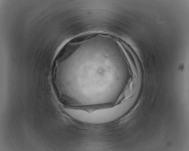 X0000091881097200710031736