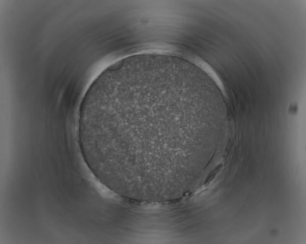 X0000091881099200710031736