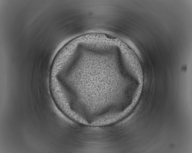 X0000091881100200710031736