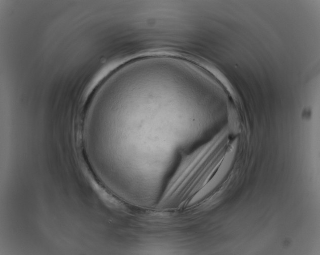 X0000091881101200710031736