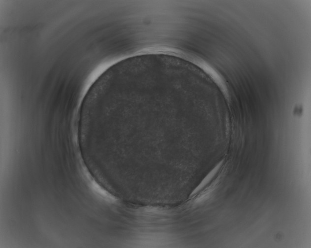 X0000091881102200710031736