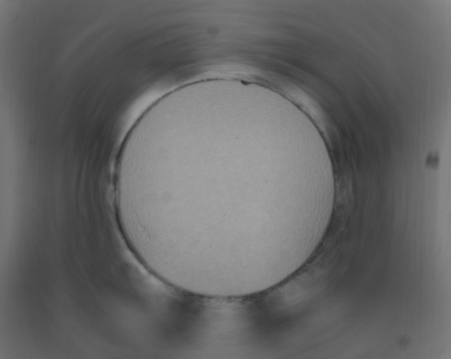 X0000091881103200710031736