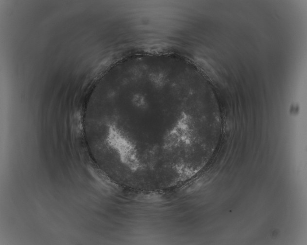 X0000091881106200710031736