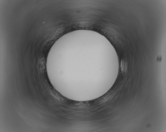 X0000091881107200710031736