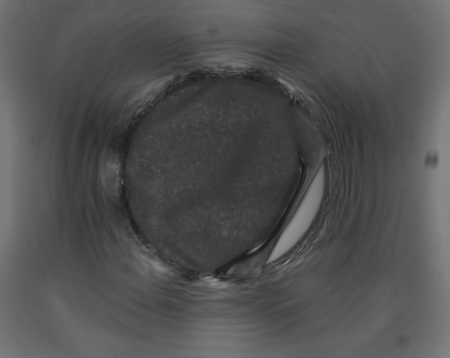 X0000091881108200710031736