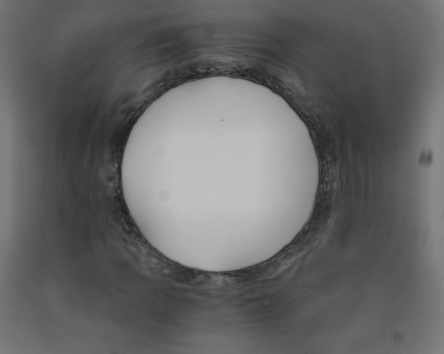 X0000091881109200710031736