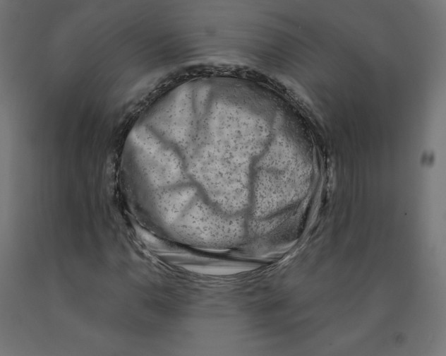 X0000091881110200710031736