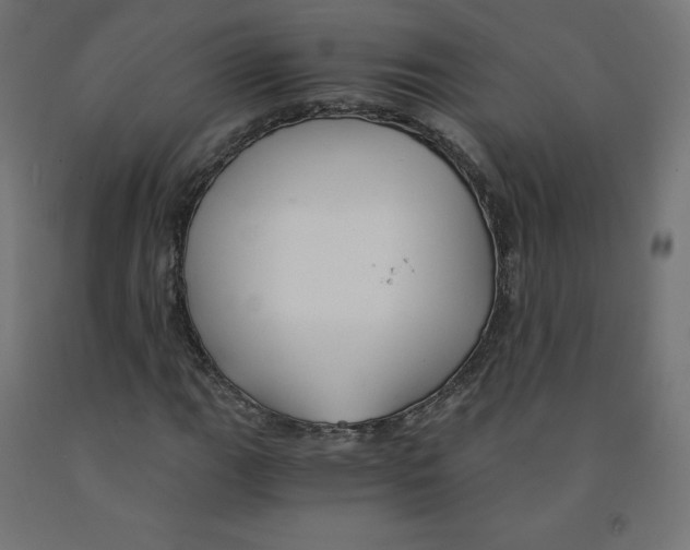 X0000091881111200710031736