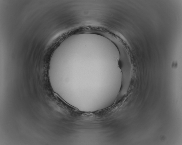 X0000091881112200710031736