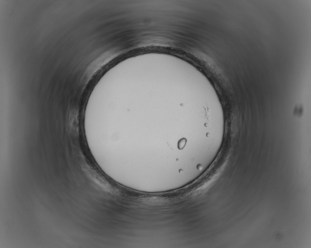 X0000091881113200710031736