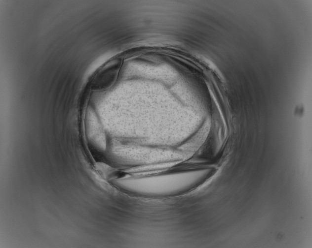 X0000091881114200710031736