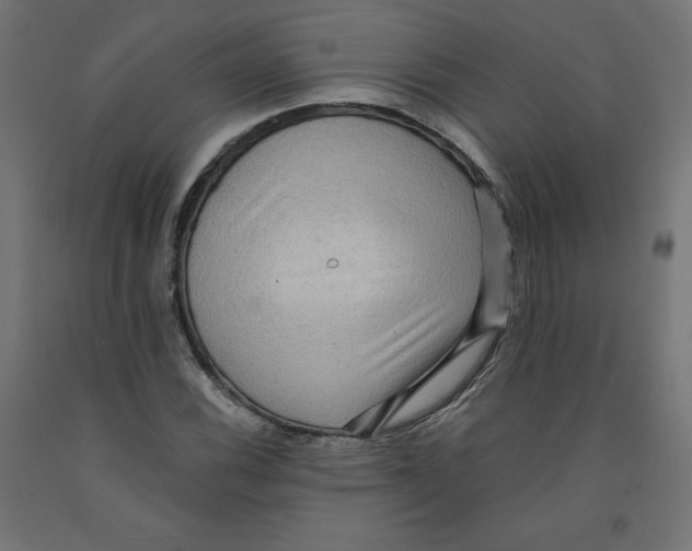 X0000091881116200710031736