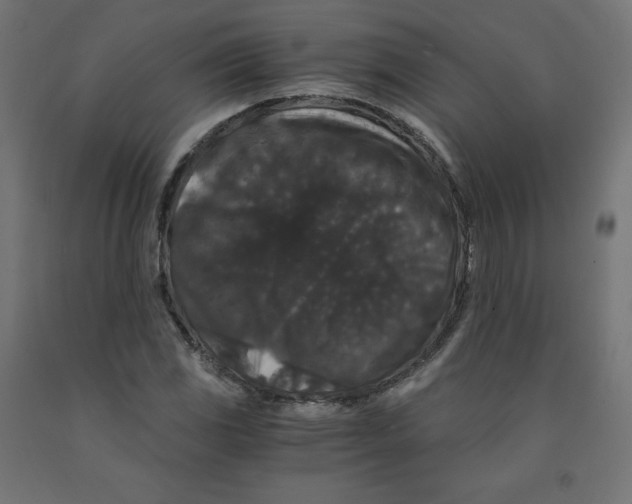 X0000091881117200710031736