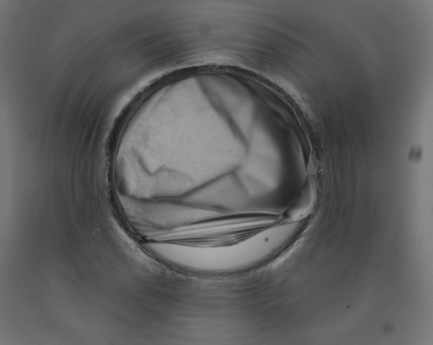 X0000091881118200710031736