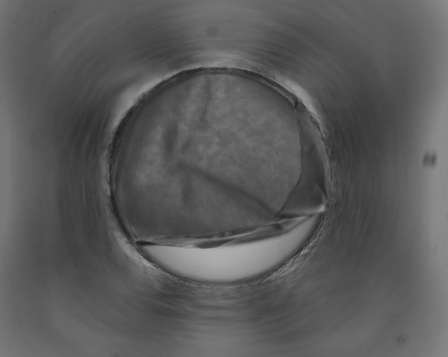 X0000091881120200710031736