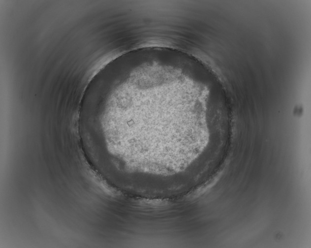 X0000091881121200710031736