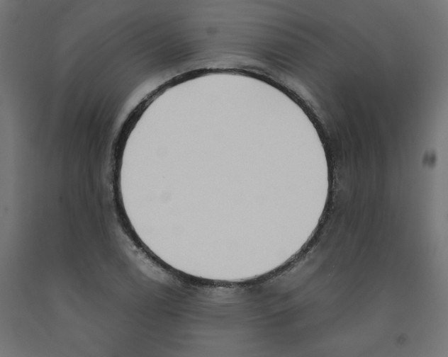 X0000091881122200710031736