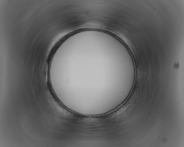 X0000091881123200710031736