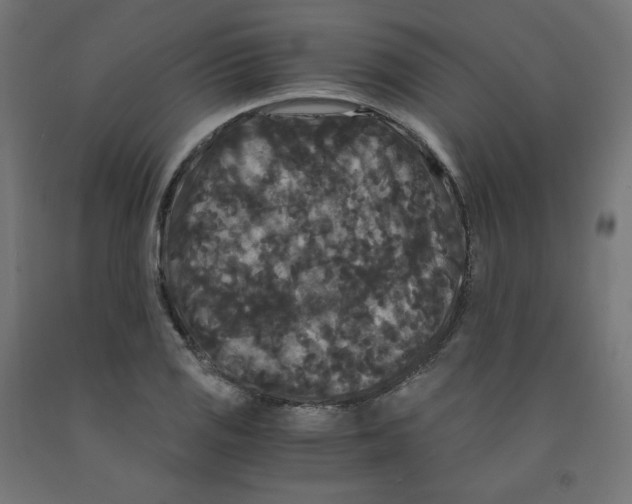 X0000091881125200710031736