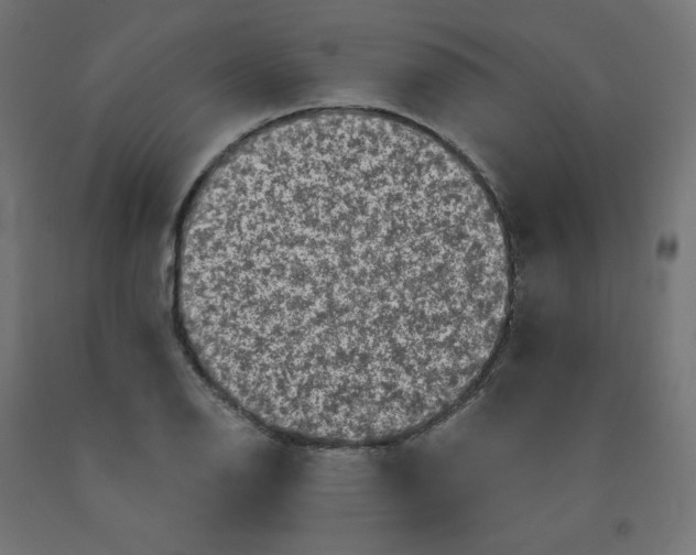 X0000091881126200710031736