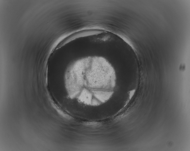 X0000091881127200710031736