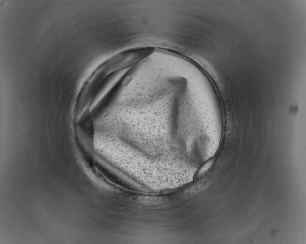 X0000091881128200710031736