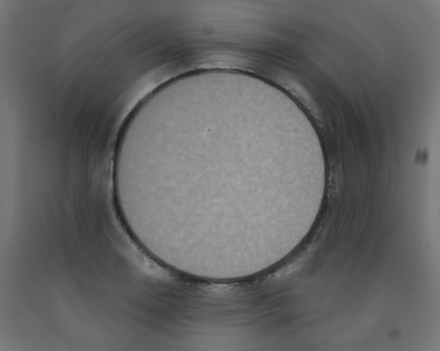 X0000091881130200710031736