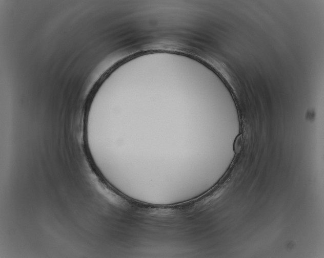 X0000091881131200710031736