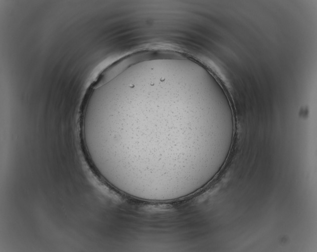 X0000091881133200710031736