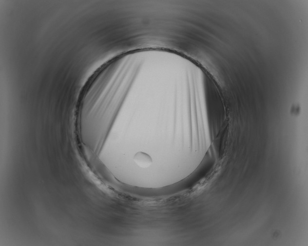 X0000091881134200710031736