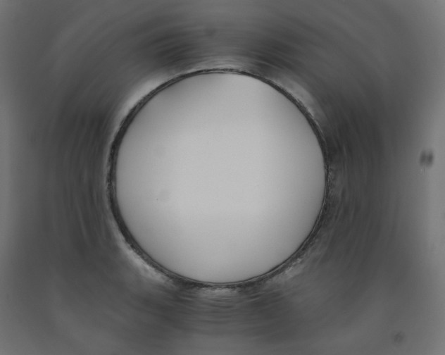 X0000091881135200710031736