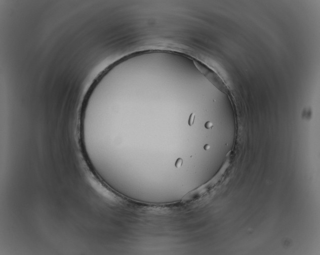 X0000091881136200710031736