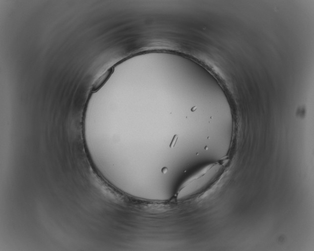 X0000091881137200710031736