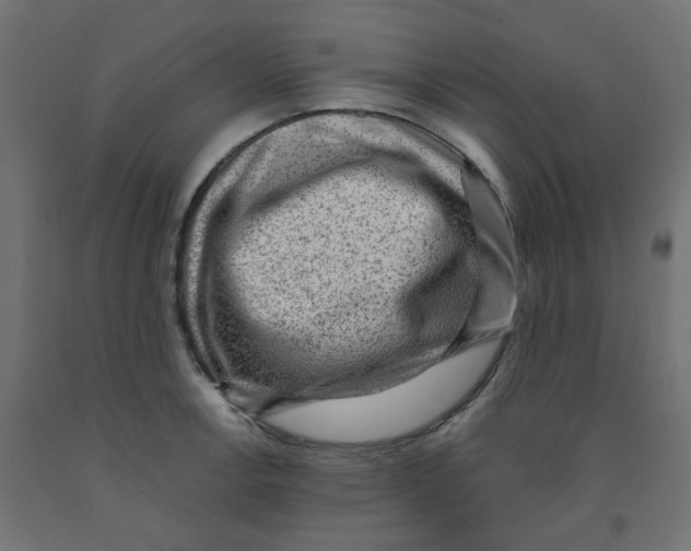 X0000091881138200710031736