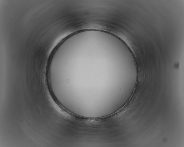 X0000091881139200710031736