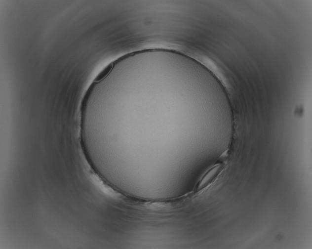 X0000091881140200710031736