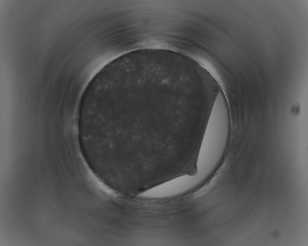 X0000091881141200710031736