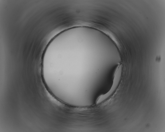 X0000091881143200710031736