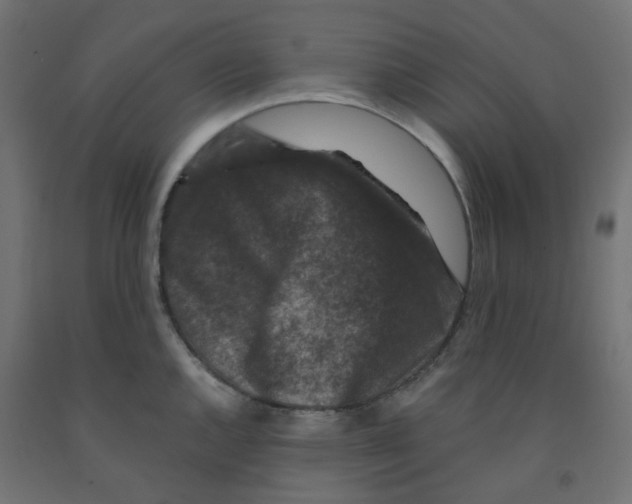 X0000091881144200710031736