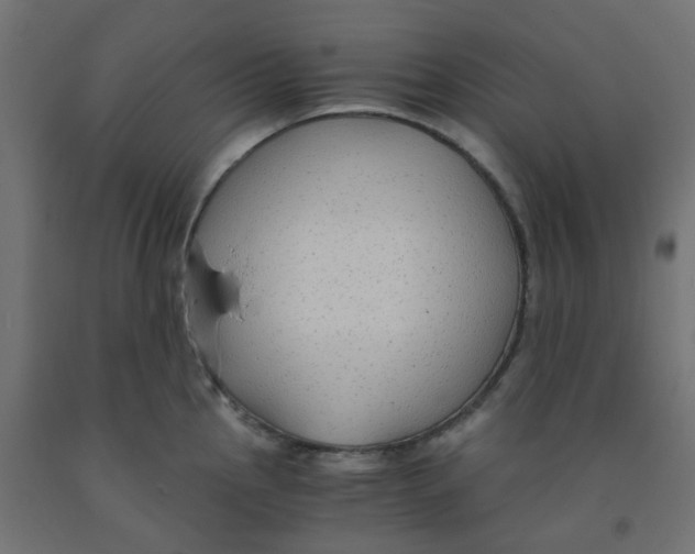 X0000091881145200710031736